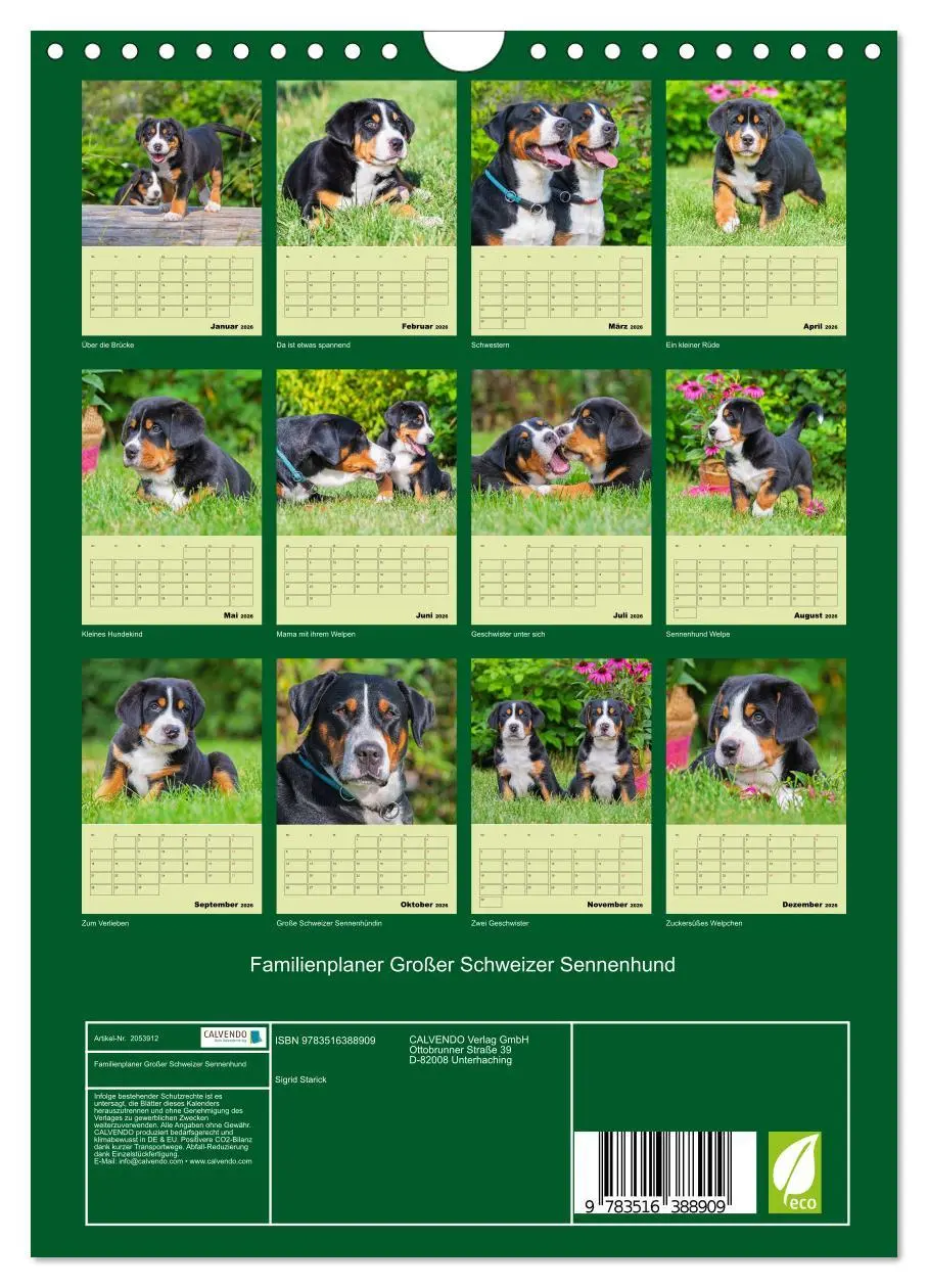 Bild: 9783516388909 | Familienplaner Großer Schweizer Sennenhund (Wandkalender 2026 DIN...