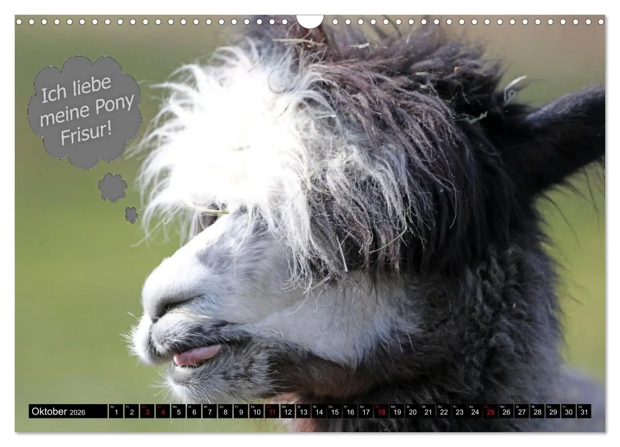 Bild: 9783457639009 | Wenn Tiere sprechen könnten! Der lustige Sprüche Kalender...