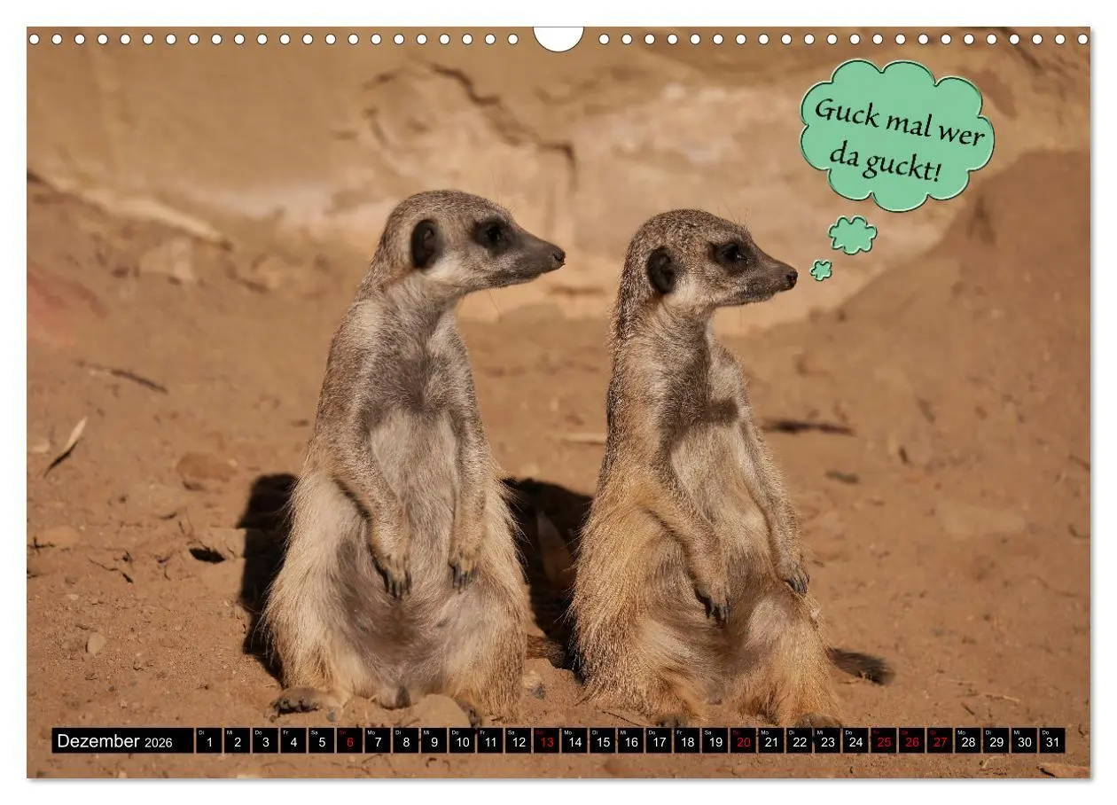 Bild: 9783457639009 | Wenn Tiere sprechen könnten! Der lustige Sprüche Kalender...