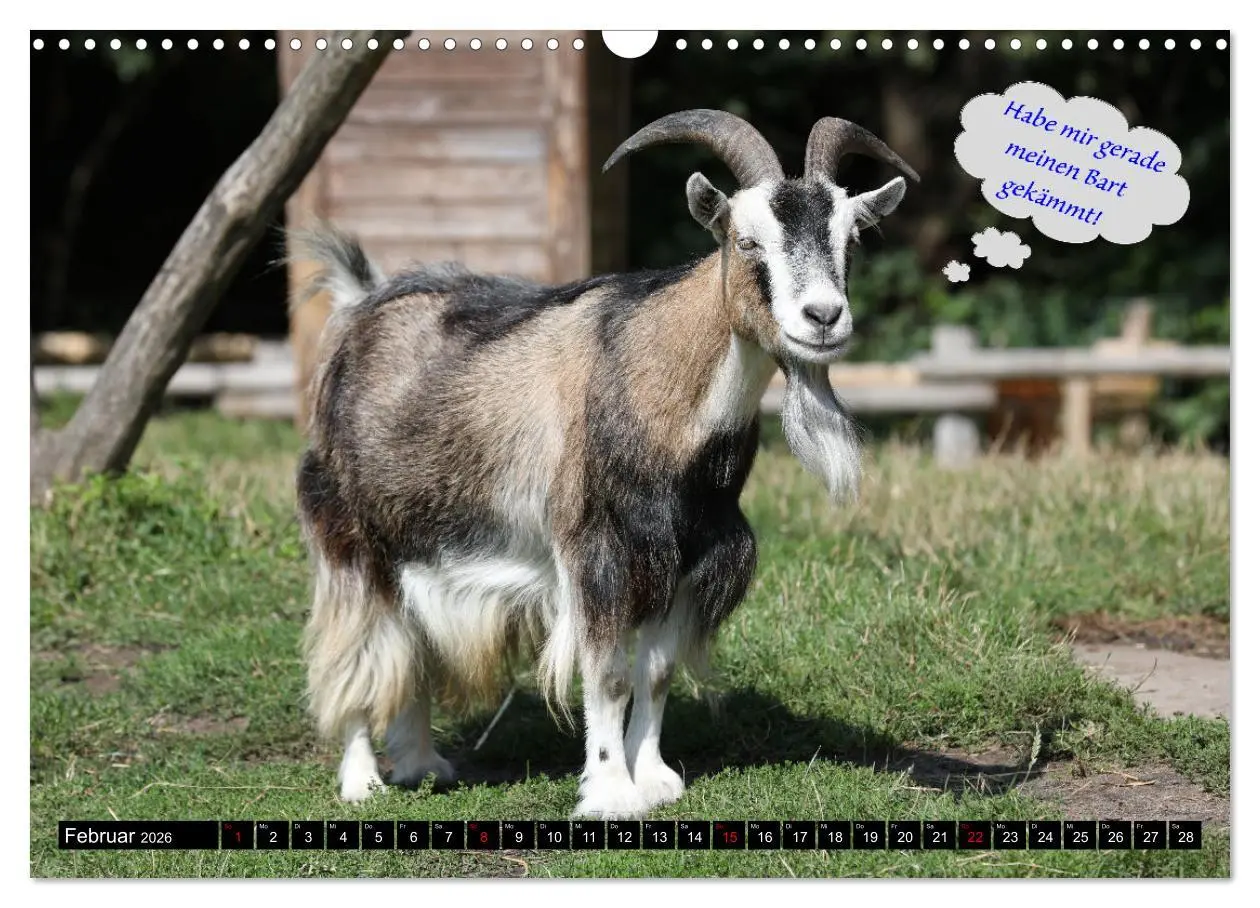 Bild: 9783457639009 | Wenn Tiere sprechen könnten! Der lustige Sprüche Kalender...