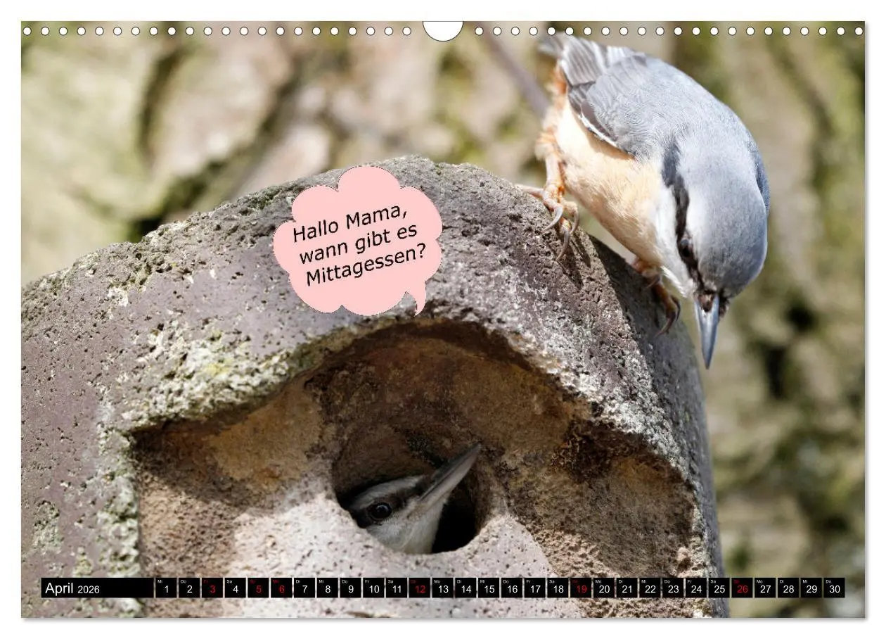 Bild: 9783457639009 | Wenn Tiere sprechen könnten! Der lustige Sprüche Kalender...