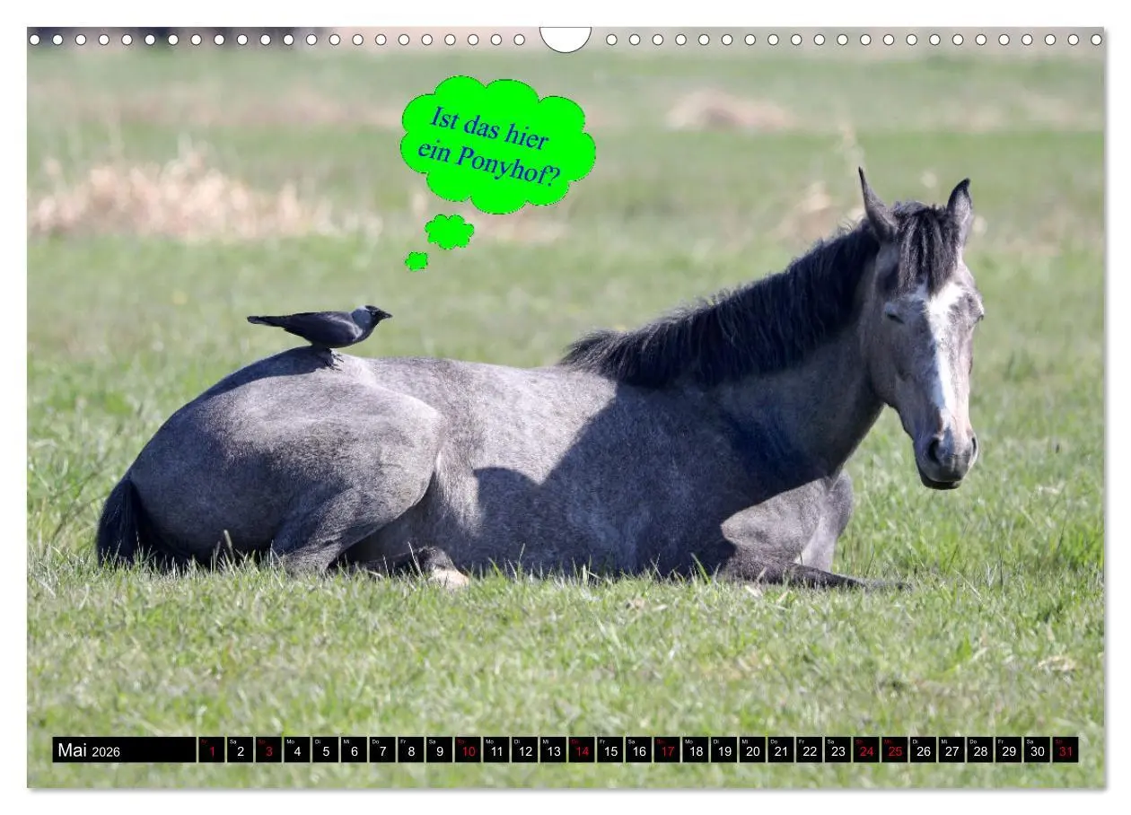 Bild: 9783457639009 | Wenn Tiere sprechen könnten! Der lustige Sprüche Kalender...