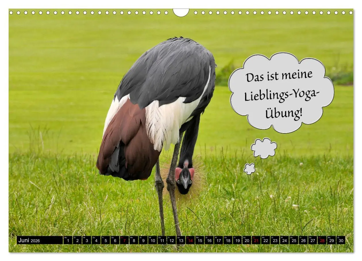 Bild: 9783457639009 | Wenn Tiere sprechen könnten! Der lustige Sprüche Kalender...