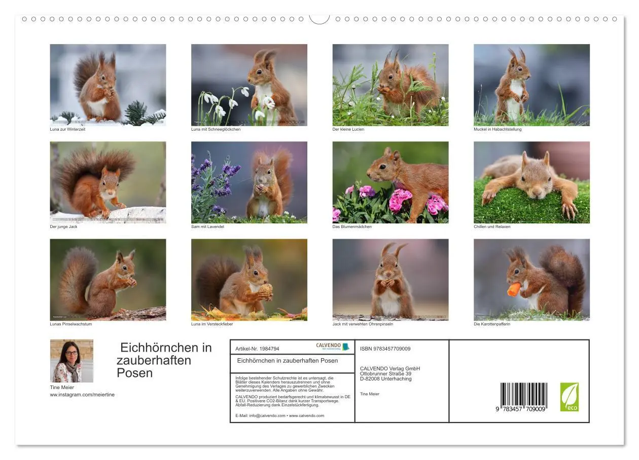 Bild: 9783457709009 | Eichhörnchen in zauberhaften Posen (hochwertiger Premium...