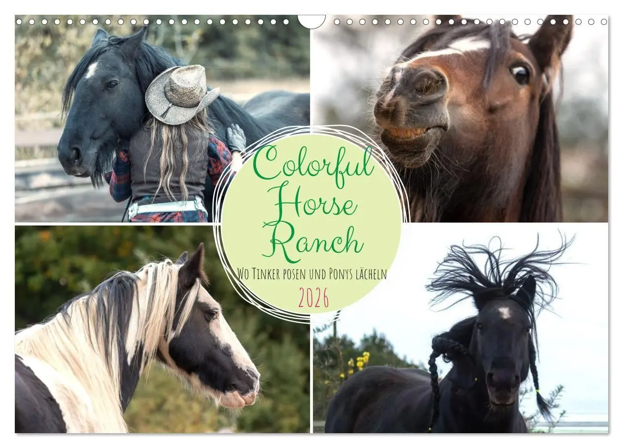 Cover: 9783516729009 | Colorful Horse Ranch - Wo Tinker posen und Ponys lächeln...