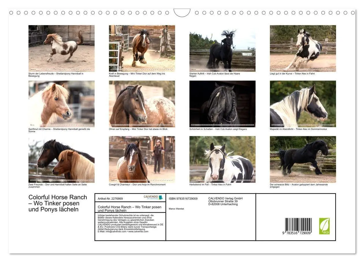 Bild: 9783516729009 | Colorful Horse Ranch - Wo Tinker posen und Ponys lächeln...