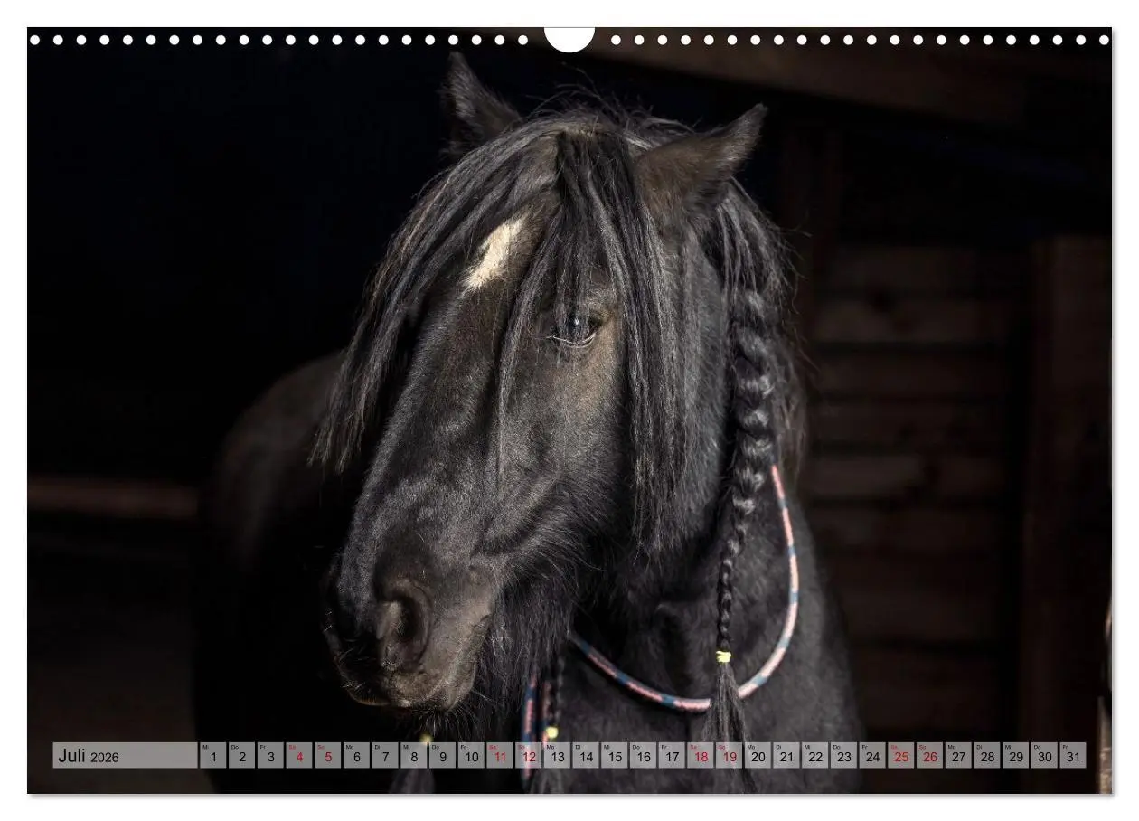 Bild: 9783516729009 | Colorful Horse Ranch - Wo Tinker posen und Ponys lächeln...