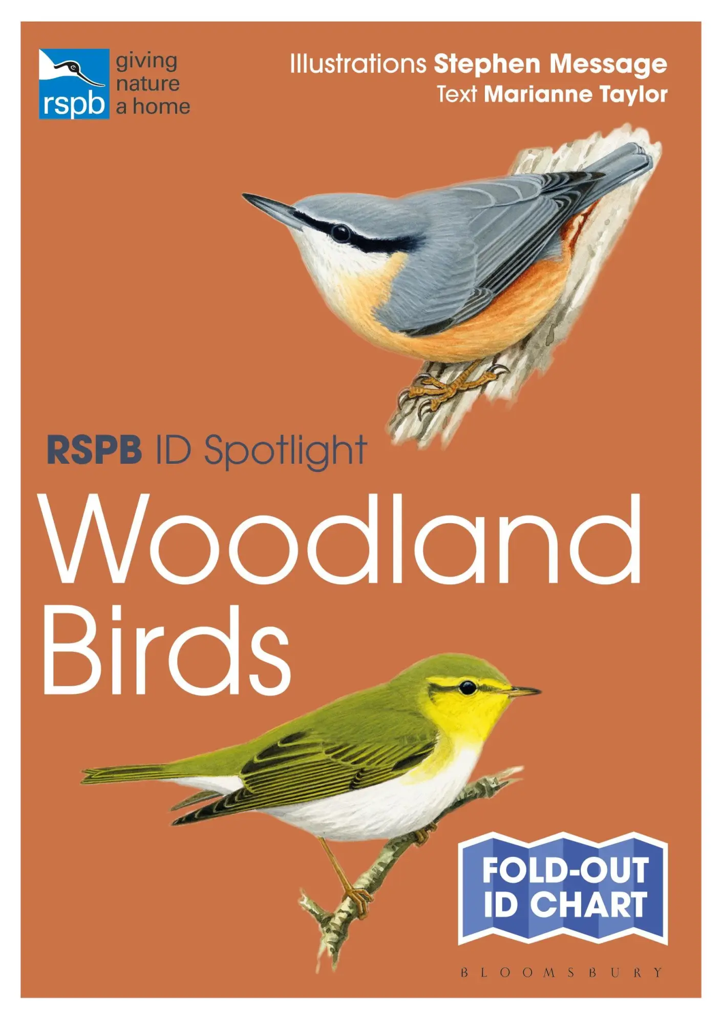 Cover: 9781472989109 | Taylor, M: RSPB ID Spotlight - Woodland Birds | Marianne Taylor | Buch