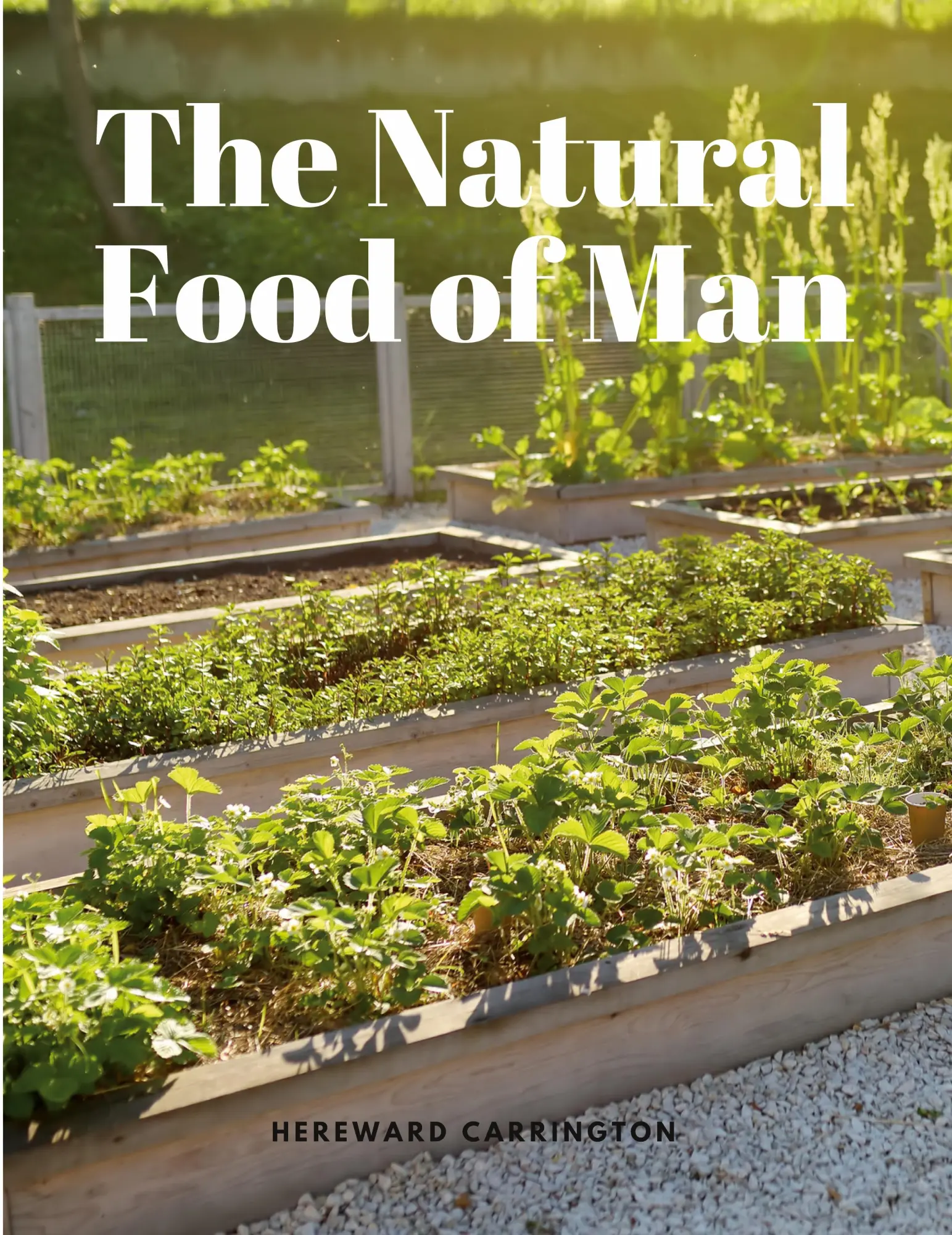 Cover: 9781805479109 | The Natural Food of Man | Hereward Carrington | Taschenbuch | Englisch