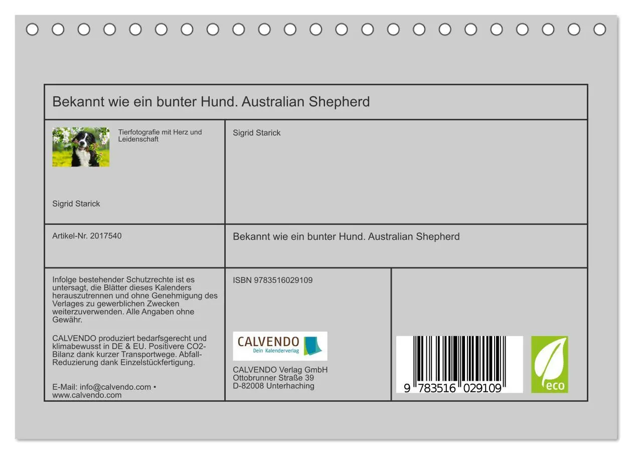 Bild: 9783516029109 | Bekannt wie ein bunter Hund. Australian Shepherd (Tischkalender...