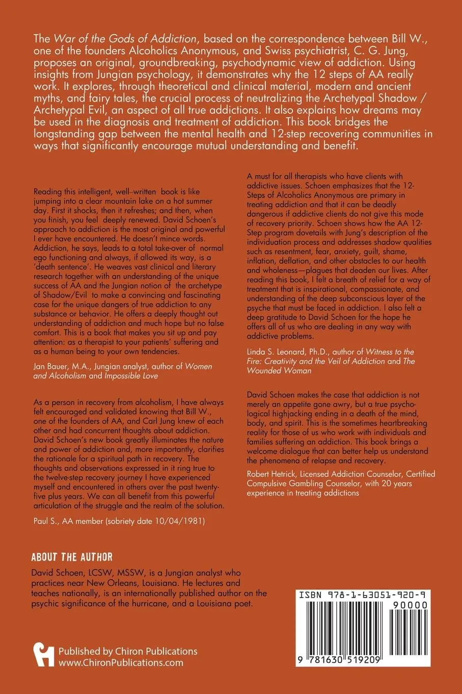 Rückseite: 9781630519209 | The War Of The Gods In Addiction | David Schoen | Taschenbuch | 2020