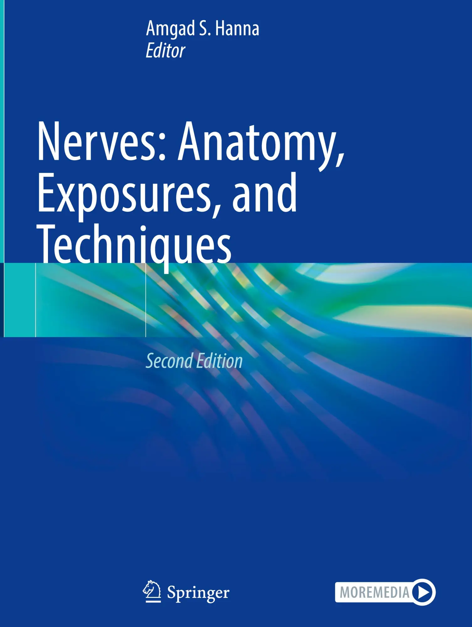 Cover: 9783031739309 | Nerves: Anatomy, Exposures, and Techniques | Amgad S. Hanna | Buch