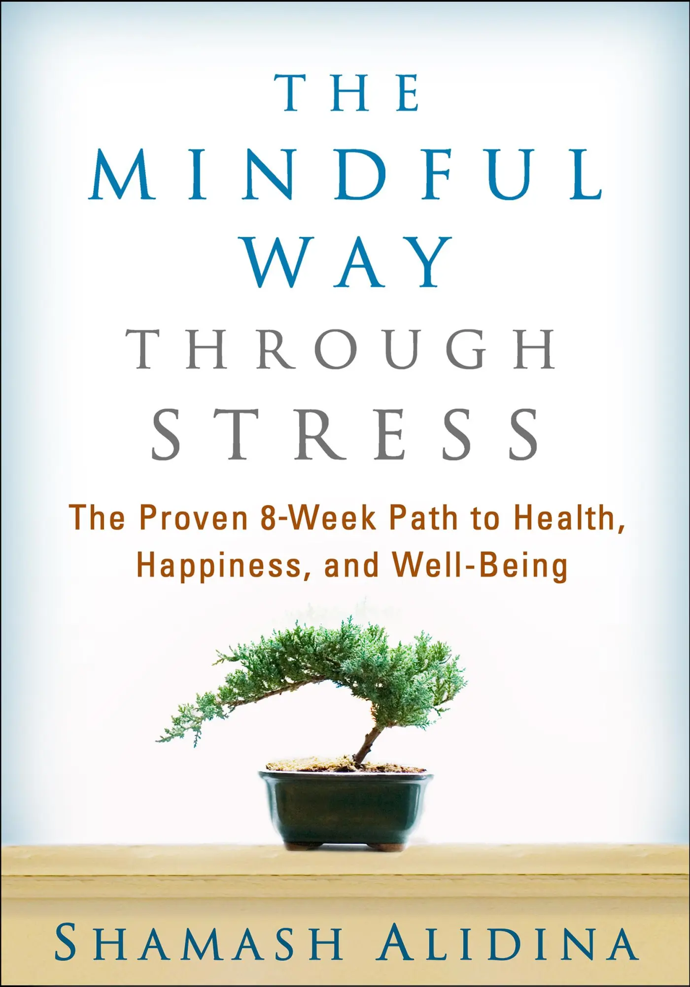 Cover: 9781462509409 | The Mindful Way Through Stress | Shamash Alidina | Taschenbuch | 2015