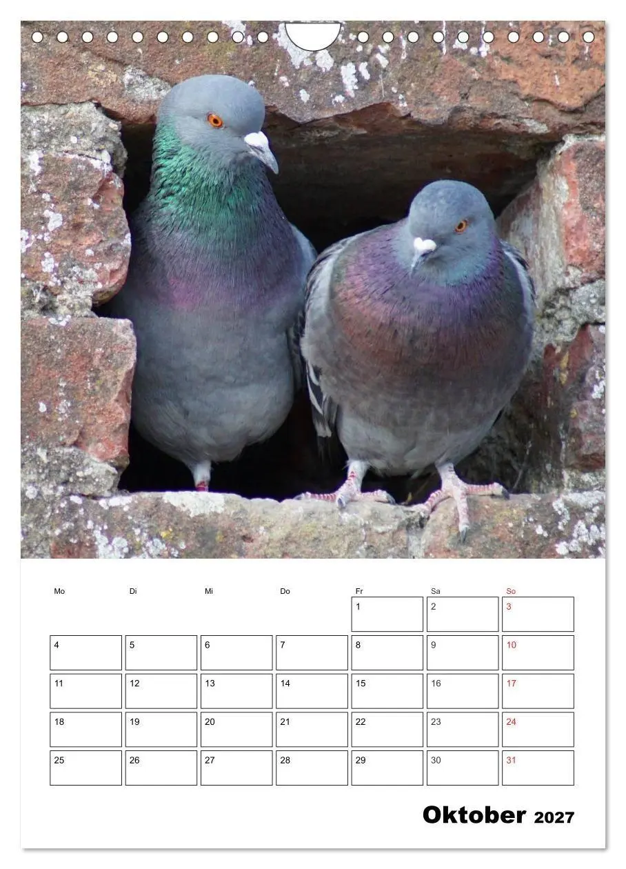 Bild: 9783569949409 | Tauben Terminplaner (Wandkalender 2027 DIN A4 hoch), CALVENDO...