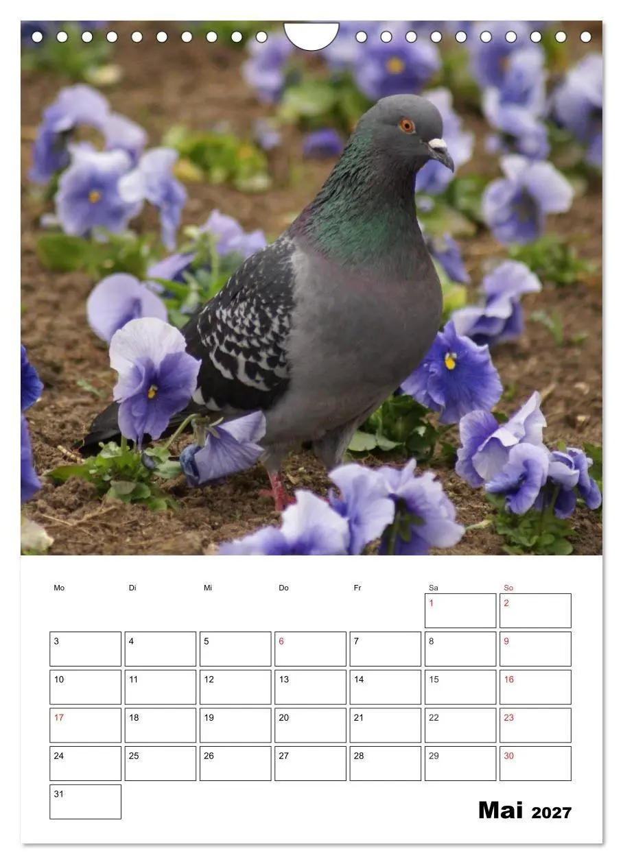 Bild: 9783569949409 | Tauben Terminplaner (Wandkalender 2027 DIN A4 hoch), CALVENDO...