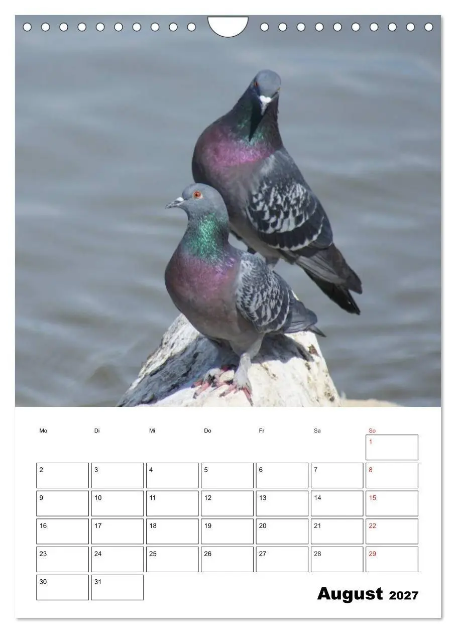 Bild: 9783569949409 | Tauben Terminplaner (Wandkalender 2027 DIN A4 hoch), CALVENDO...