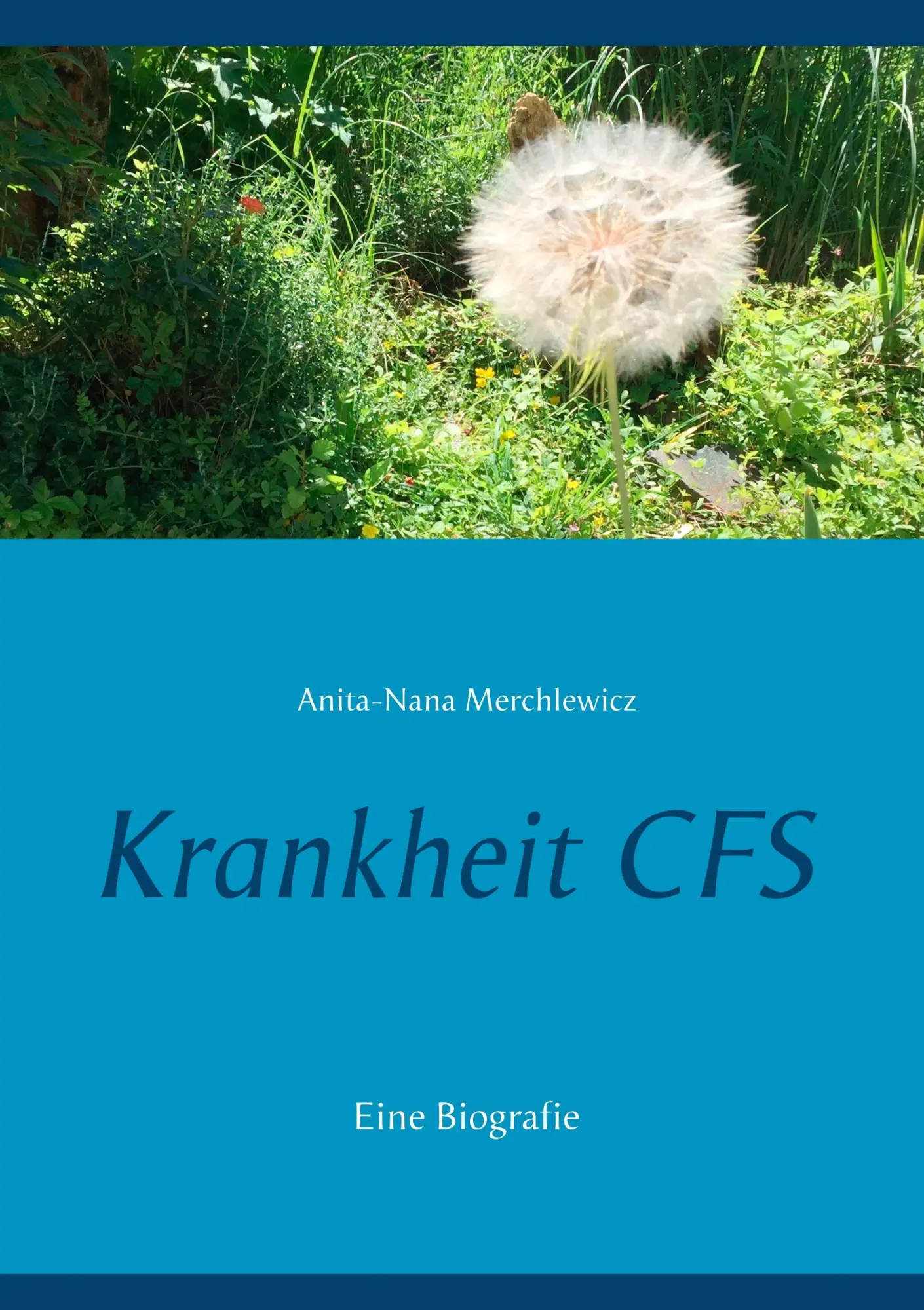 Cover: 9783746089409 | Krankheit CFS | Wenn die Dunkelheit einbricht - Spurensuche | Buch