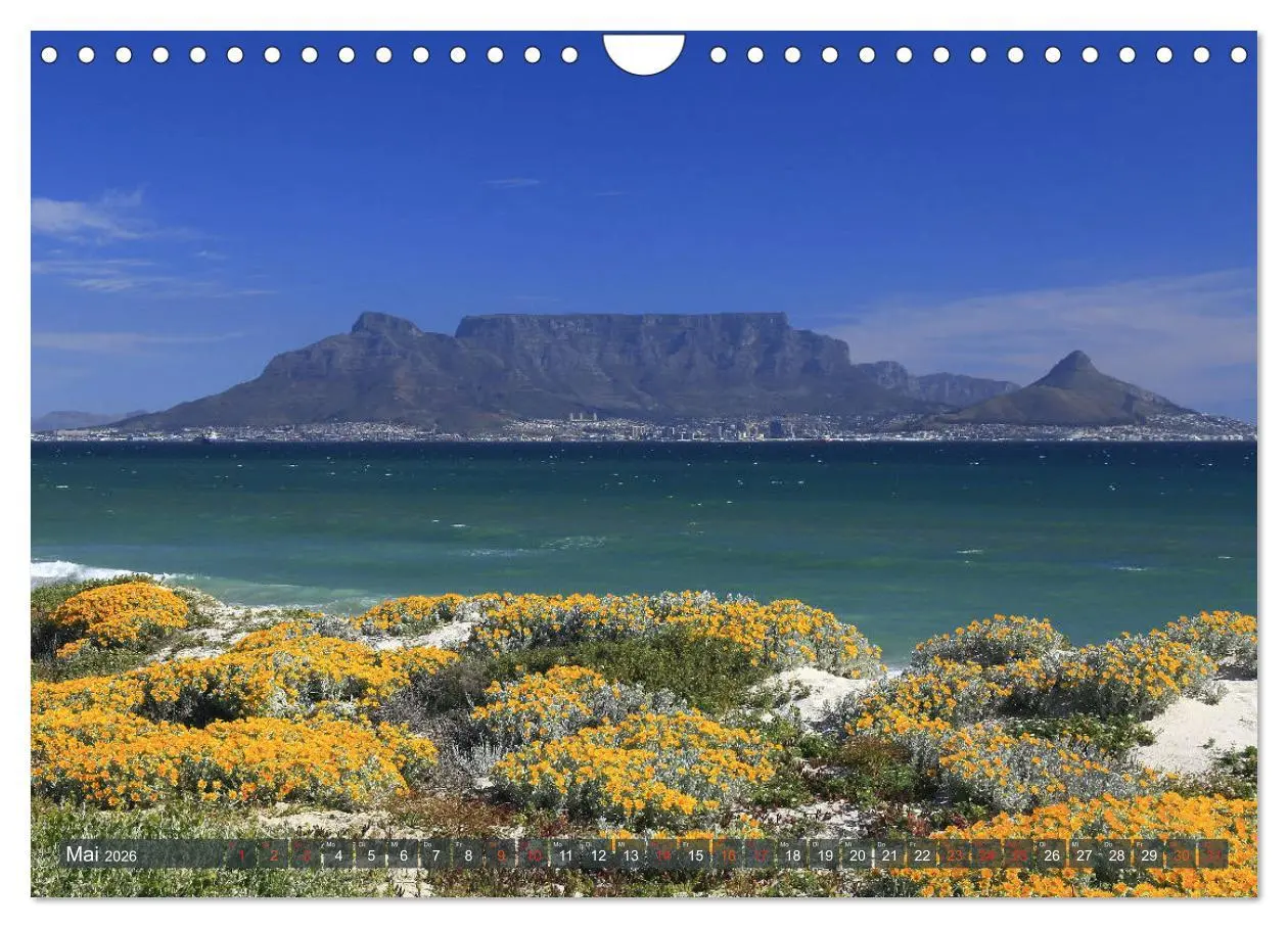 Bild: 9783516089509 | Südafrika - Westkap (Wandkalender 2026 DIN A4 quer), CALVENDO...