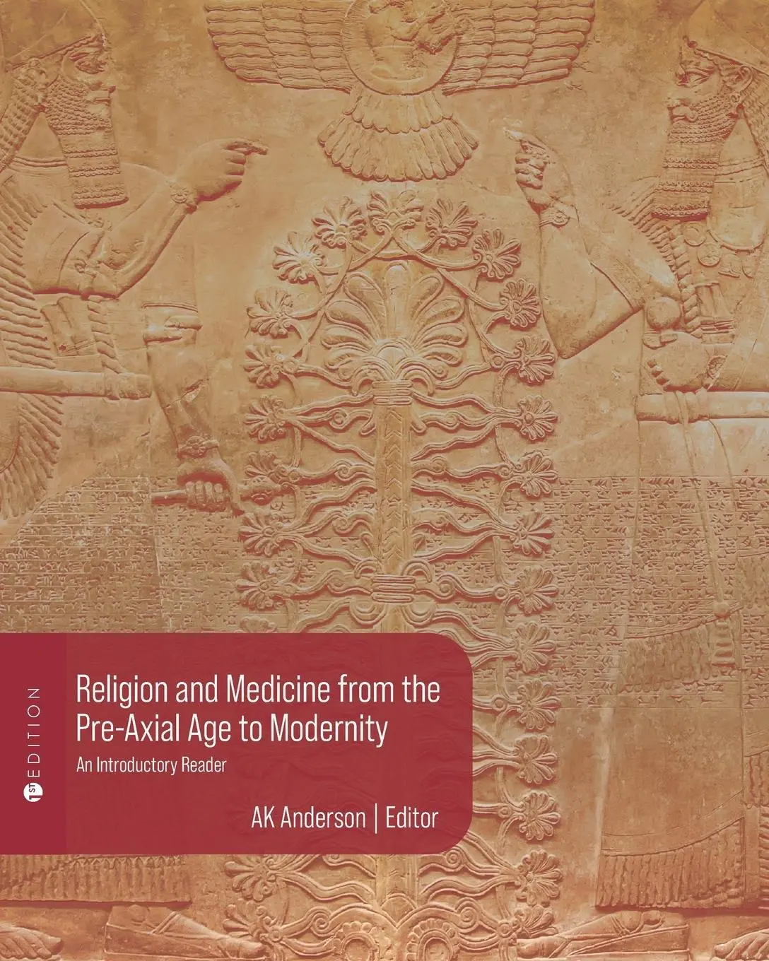 Cover: 9798823309509 | Religion and Medicine from the Pre-Axial Age to Modernity | Anderson