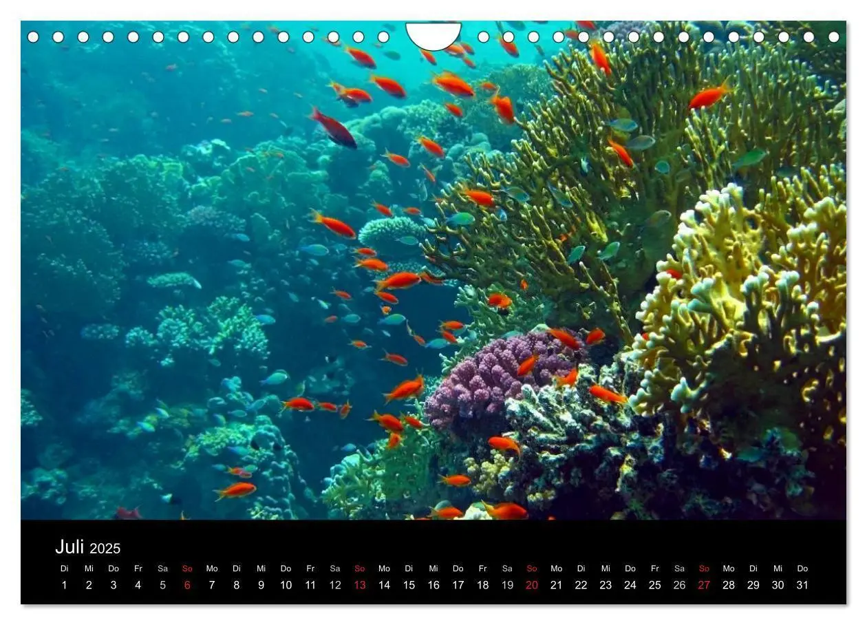 Bild: 9783435659609 | Träume unter Wasser (Wandkalender 2025 DIN A4 quer), CALVENDO...