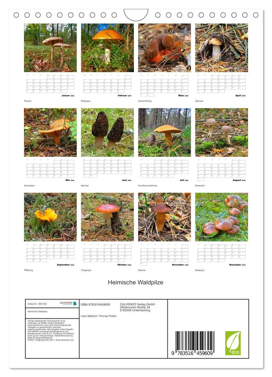 Bild: 9783516459609 | Heimische Waldpilze (Wandkalender 2026 DIN A4 hoch), CALVENDO...