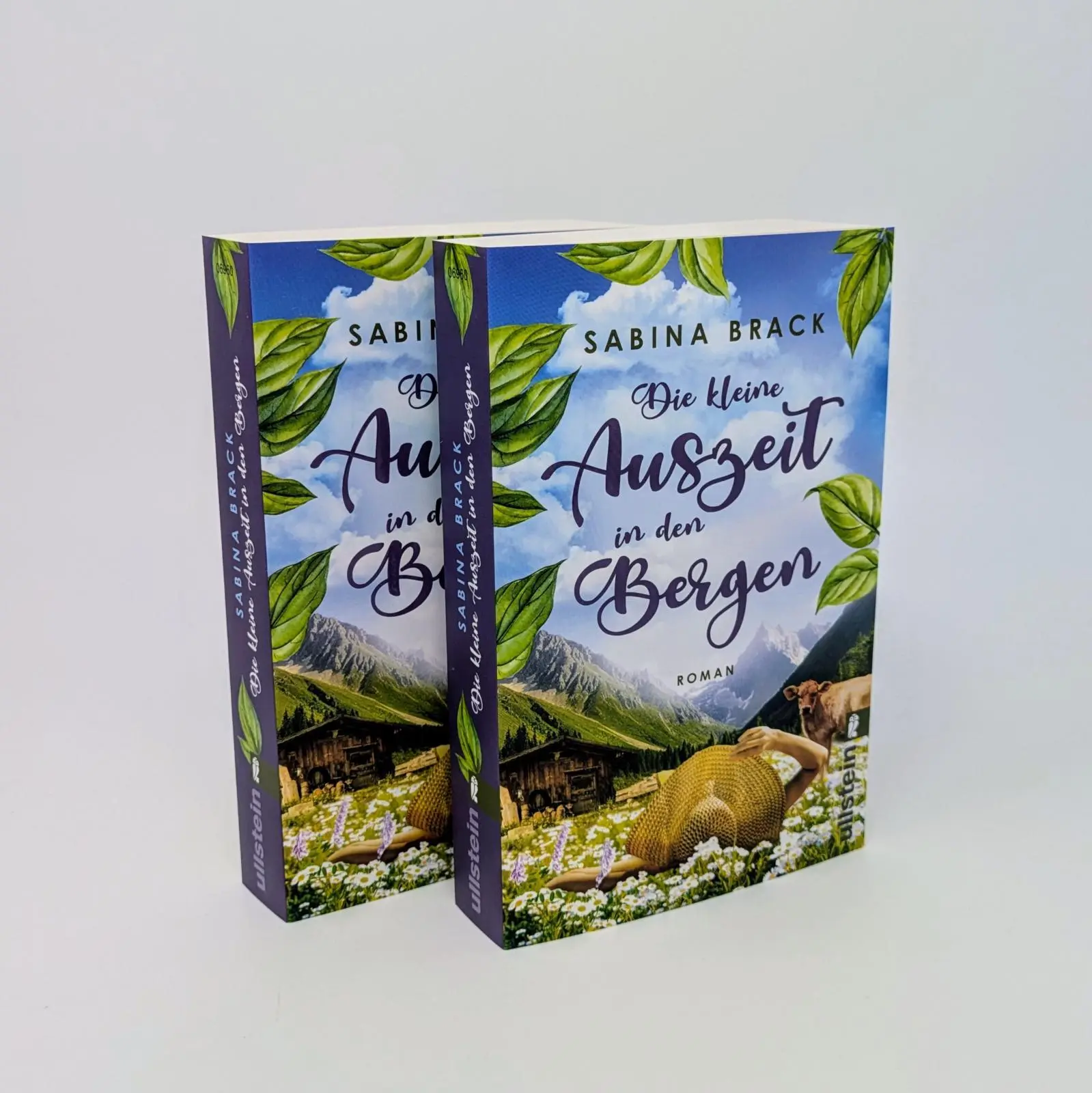 Bild: 9783548069609 | Die kleine Auszeit in den Bergen | Sabina Brack | Taschenbuch | 464 S.