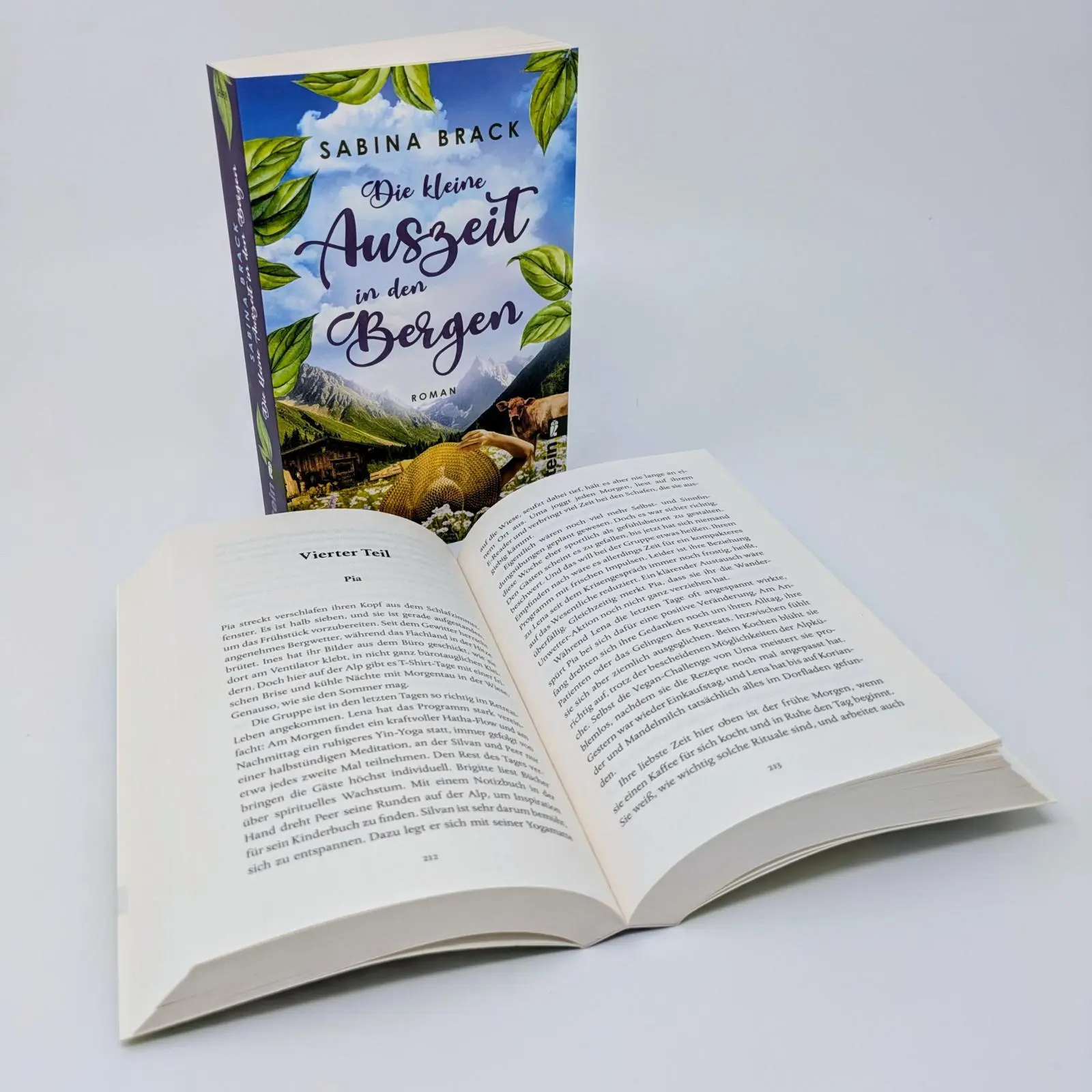 Bild: 9783548069609 | Die kleine Auszeit in den Bergen | Sabina Brack | Taschenbuch | 464 S.