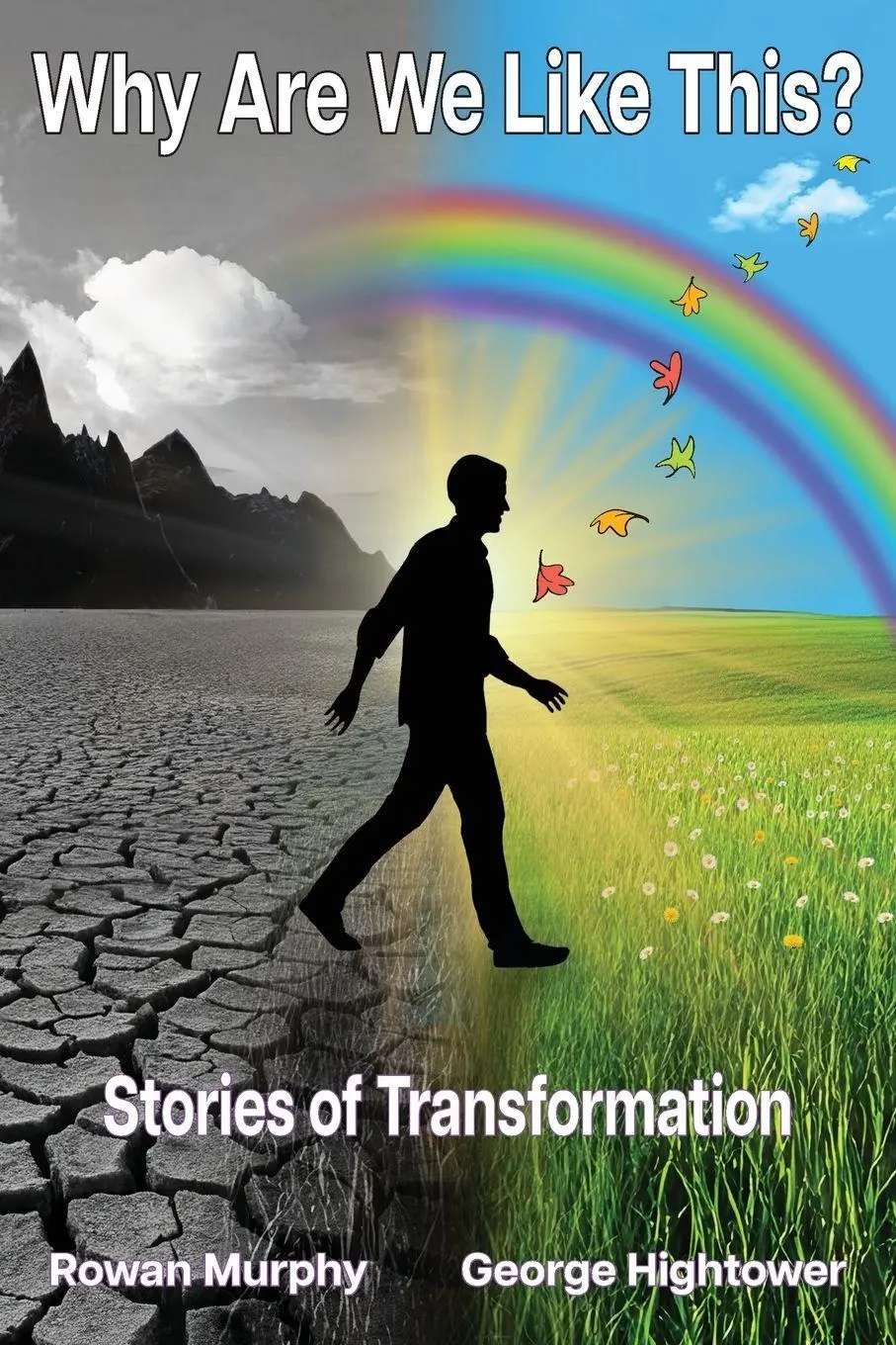Cover: 9798994369609 | Why Are We Like This? | Stories of Transformation | Murphy (u. a.)