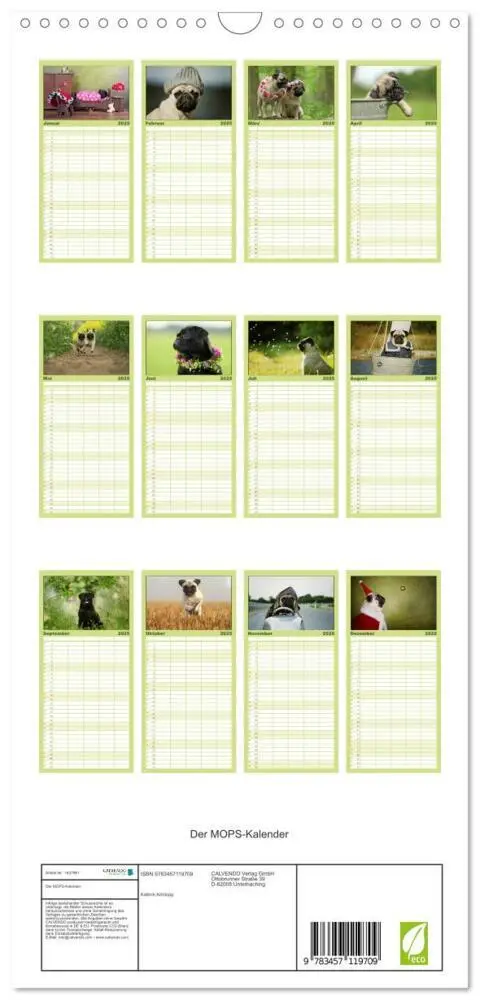 Bild: 9783457119709 | Familienplaner 2025 - Der MOPS-Kalender mit 5 Spalten...