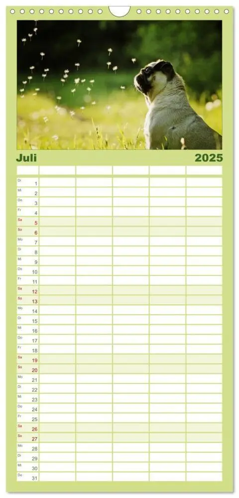 Bild: 9783457119709 | Familienplaner 2025 - Der MOPS-Kalender mit 5 Spalten...