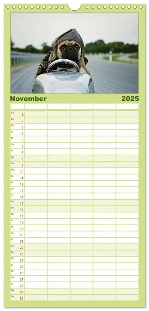 Bild: 9783457119709 | Familienplaner 2025 - Der MOPS-Kalender mit 5 Spalten...