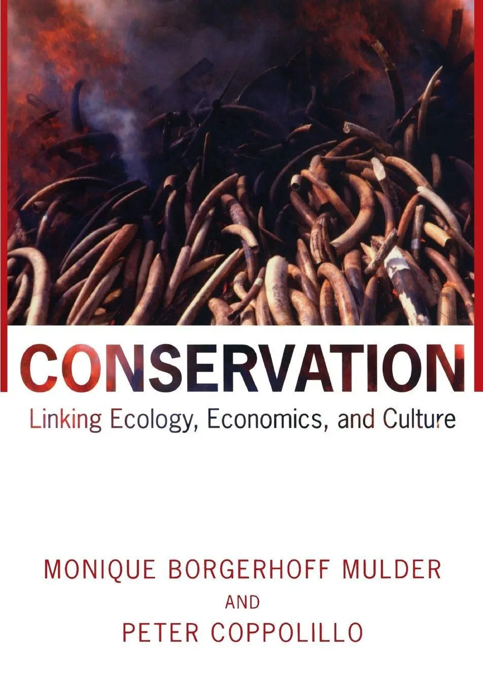 Cover: 9780691049809 | Conservation | Linking Ecology, Economics, and Culture | Taschenbuch