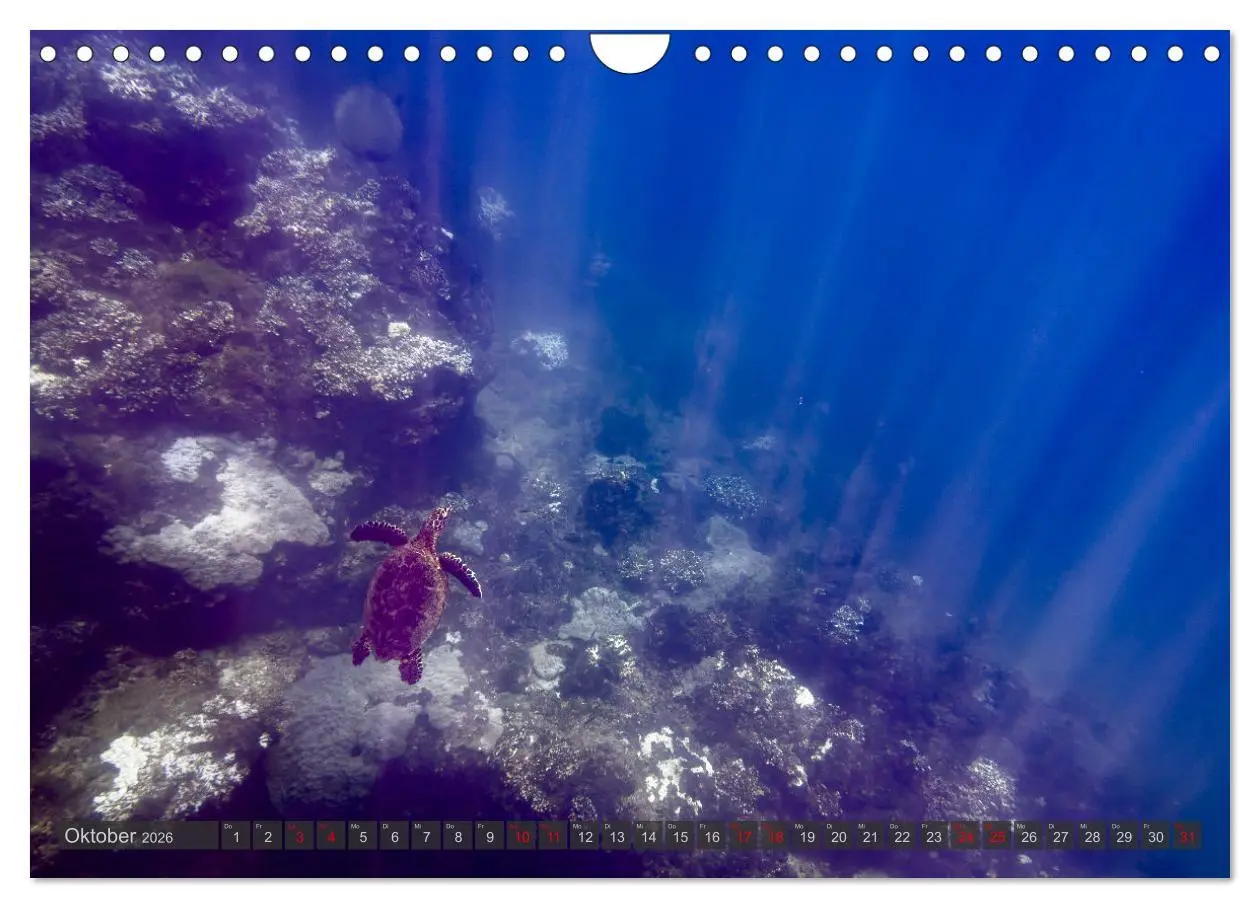 Bild: 9783457279809 | Tropenparadies zwischen Ozeanen Costa Rica (Wandkalender 2026 DIN...