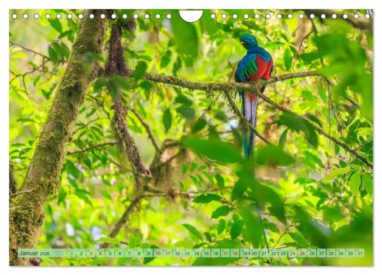 Bild: 9783457279809 | Tropenparadies zwischen Ozeanen Costa Rica (Wandkalender 2026 DIN...