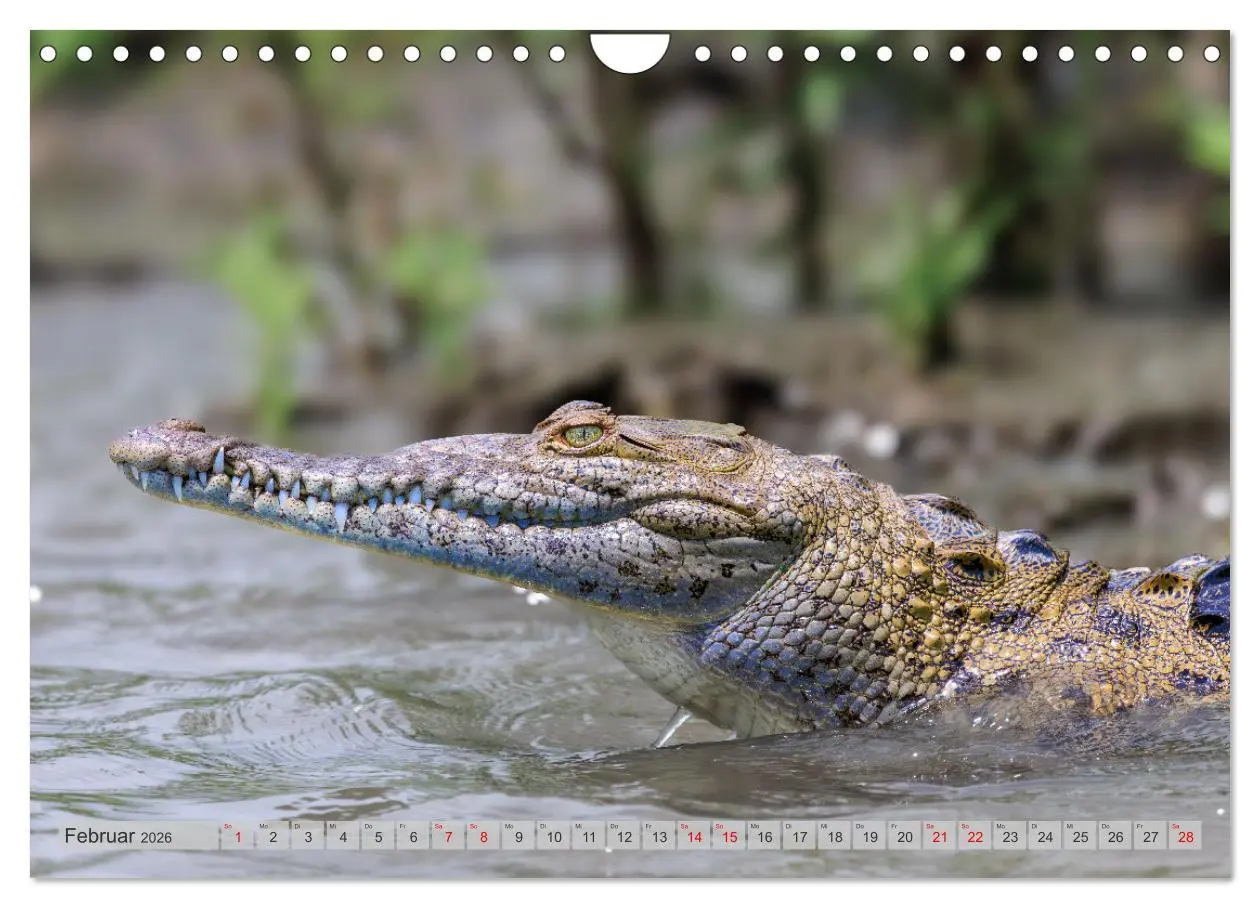 Bild: 9783457279809 | Tropenparadies zwischen Ozeanen Costa Rica (Wandkalender 2026 DIN...