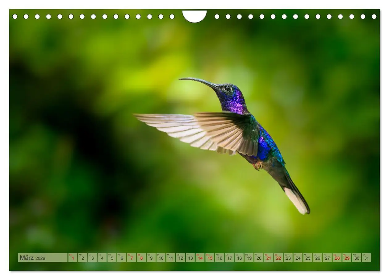 Bild: 9783457279809 | Tropenparadies zwischen Ozeanen Costa Rica (Wandkalender 2026 DIN...