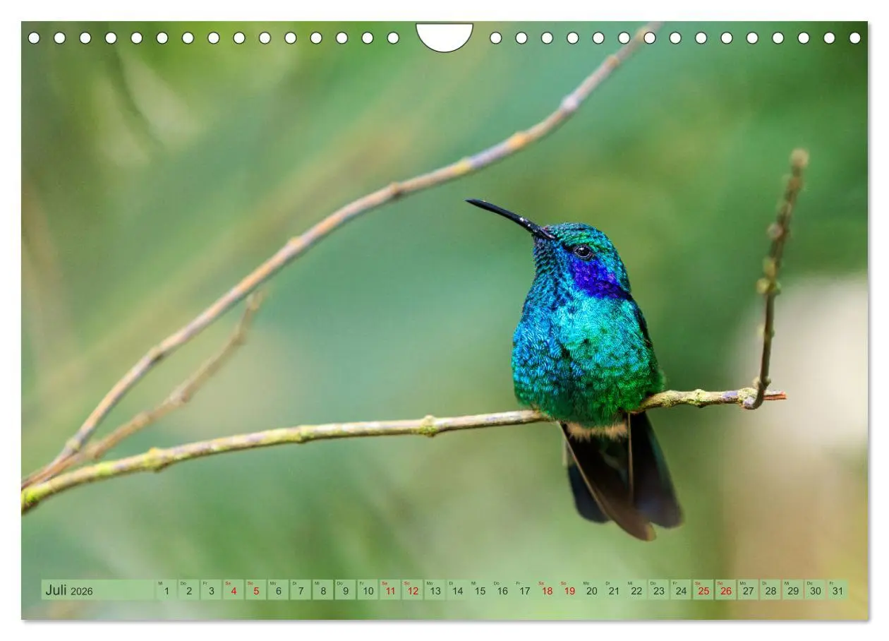 Bild: 9783457279809 | Tropenparadies zwischen Ozeanen Costa Rica (Wandkalender 2026 DIN...