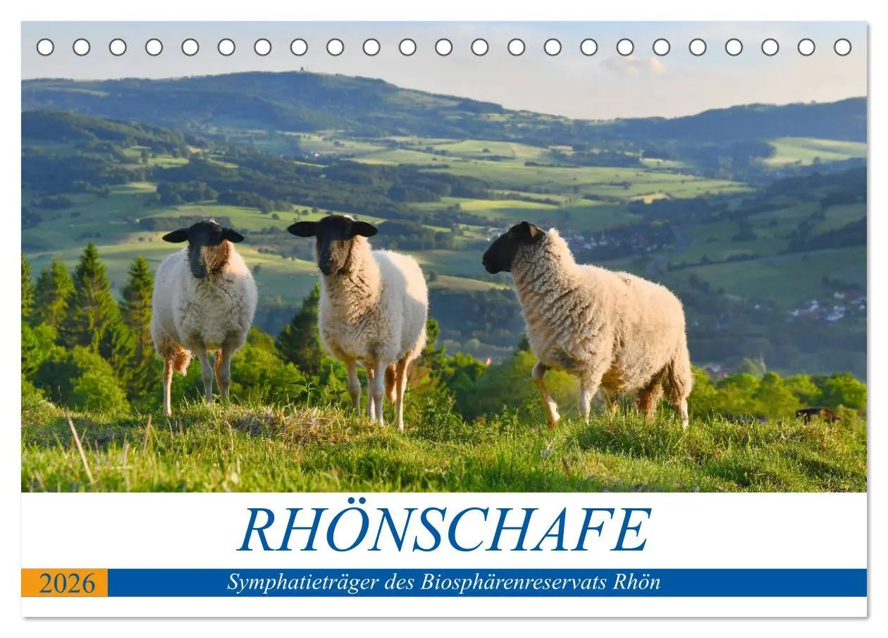 Cover: 9783457659809 | Rhönschafe - Symphatieträger des Biosphärenreservats Rhön...