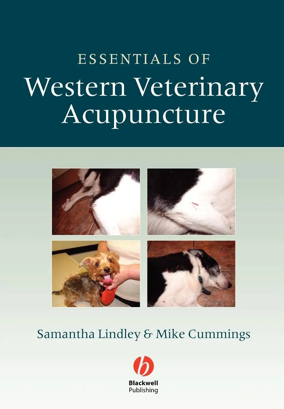 Cover: 9781405129909 | Essentials Western Vet Acupuncture | Samantha Lindley (u. a.) | Buch