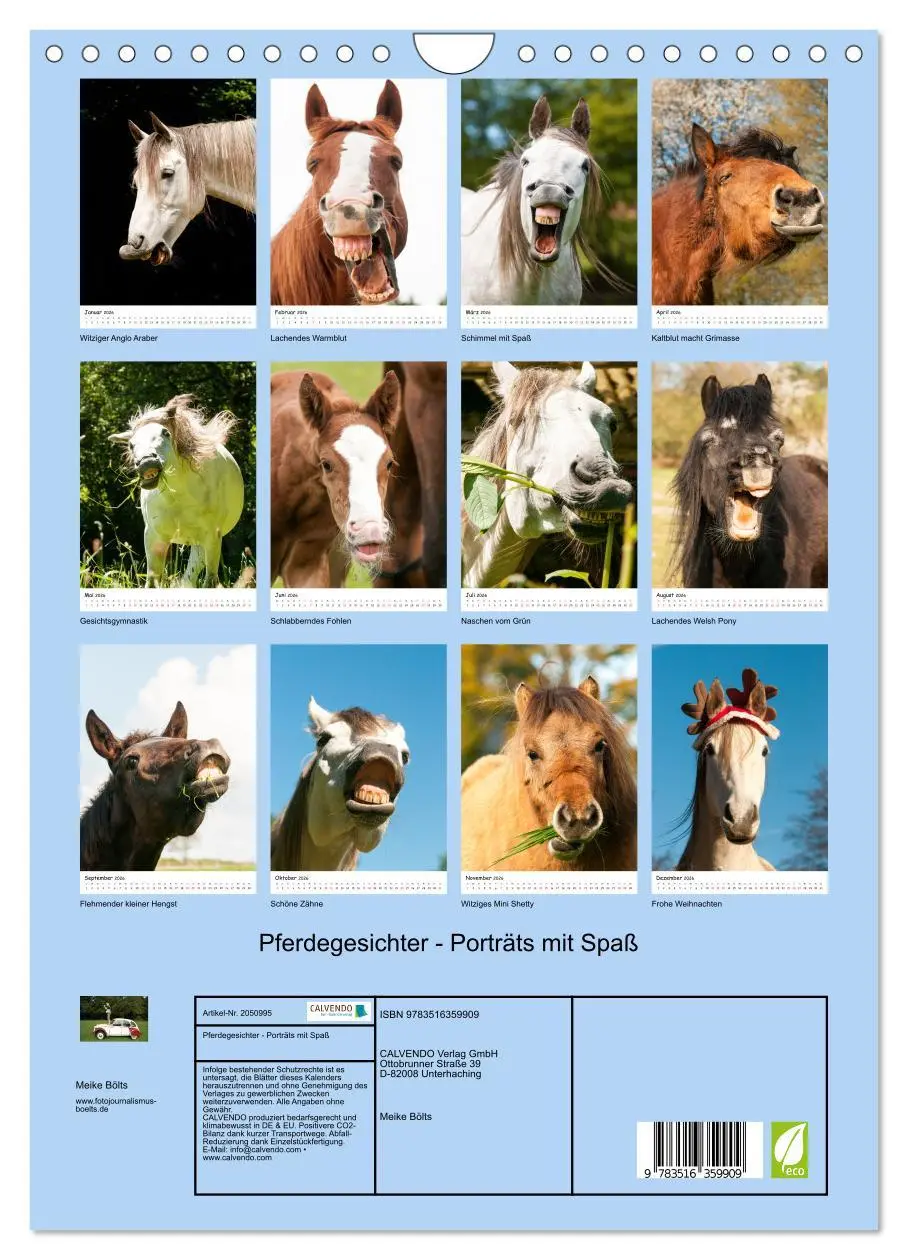 Bild: 9783516359909 | Pferdegesichter - Porträts mit Spaß (Wandkalender 2026 DIN A4...