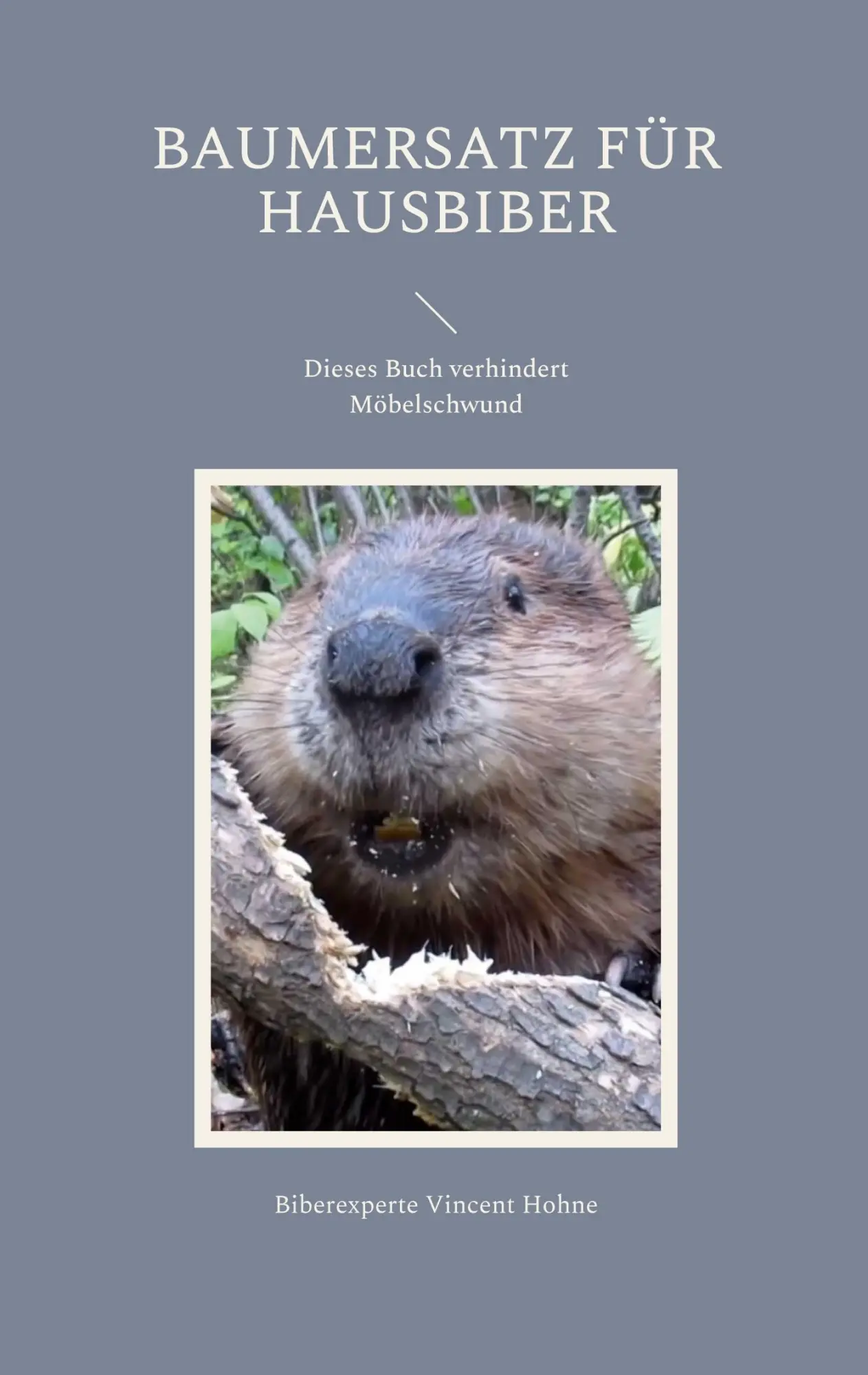 Baumersatz für Hausbiber: Dieses Buch verhindert Möbelschwund