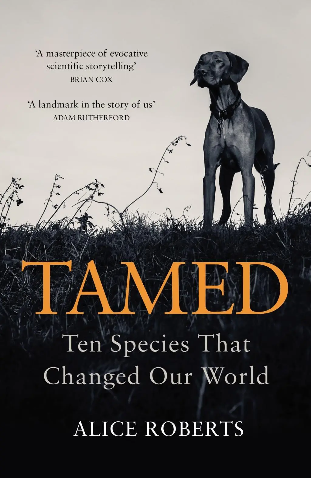 Cover: 9781786090010 | Tamed | Ten Species That Changed Our World | Alice Roberts | Buch