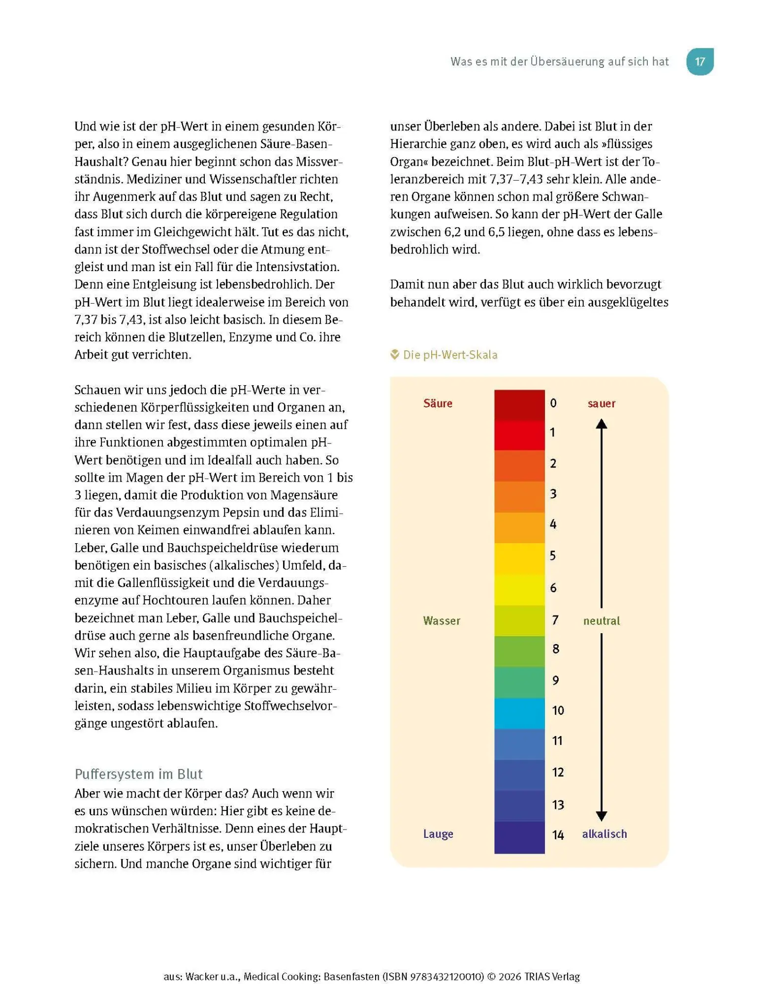 Bild: 9783432120010 | Medical Cooking: Basenfasten | Sabine Wacker (u. a.) | Taschenbuch
