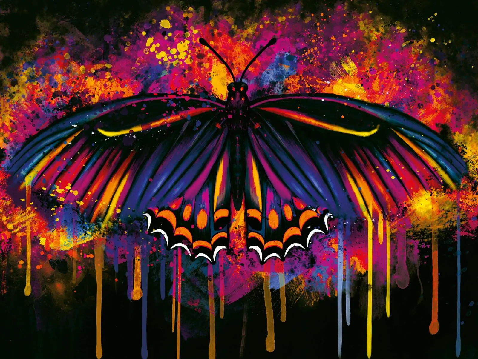 Bild: 9783522900010 | Velvet-Dilogie 2: Kashmere Rises, but the Skies fade in Ashes | Dippel
