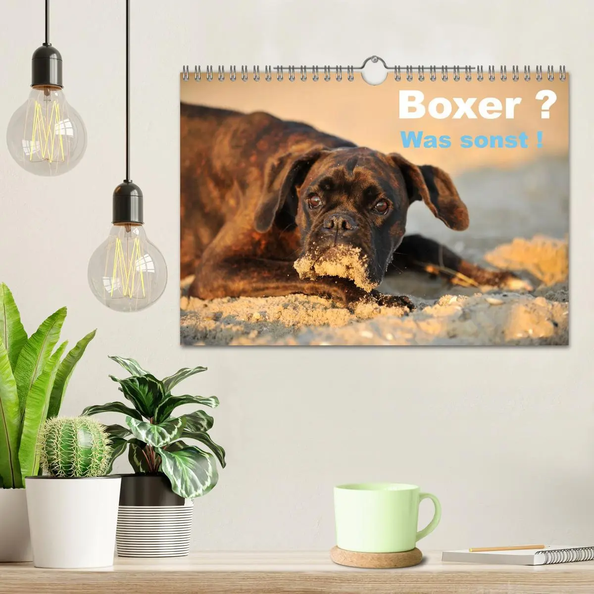 Bild: 9783516050110 | Boxer ? Was sonst ! (Wandkalender 2026 DIN A4 quer), CALVENDO...