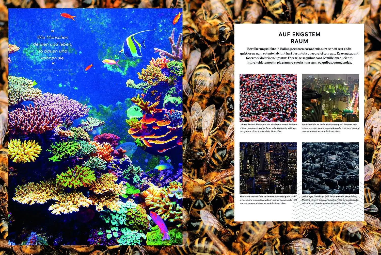 Bild: 9783969650110 | Bildbände/illustrierte Bücher TERRA MAXIMA | Atlas der Superlative