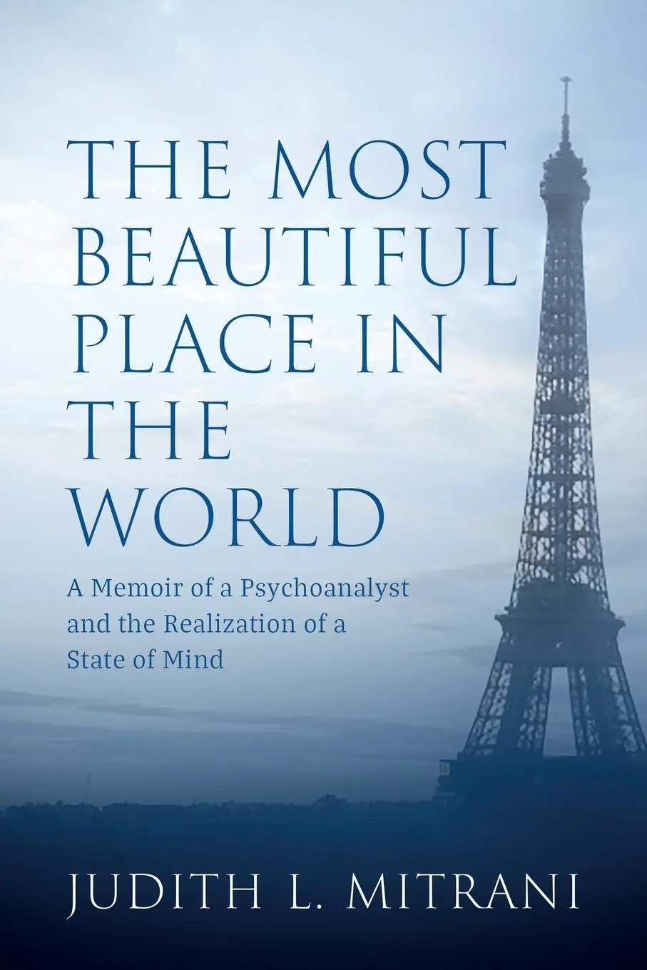 Cover: 9781802270310 | The Most Beautiful Place in the World | Judith L. Mitrani | Buch