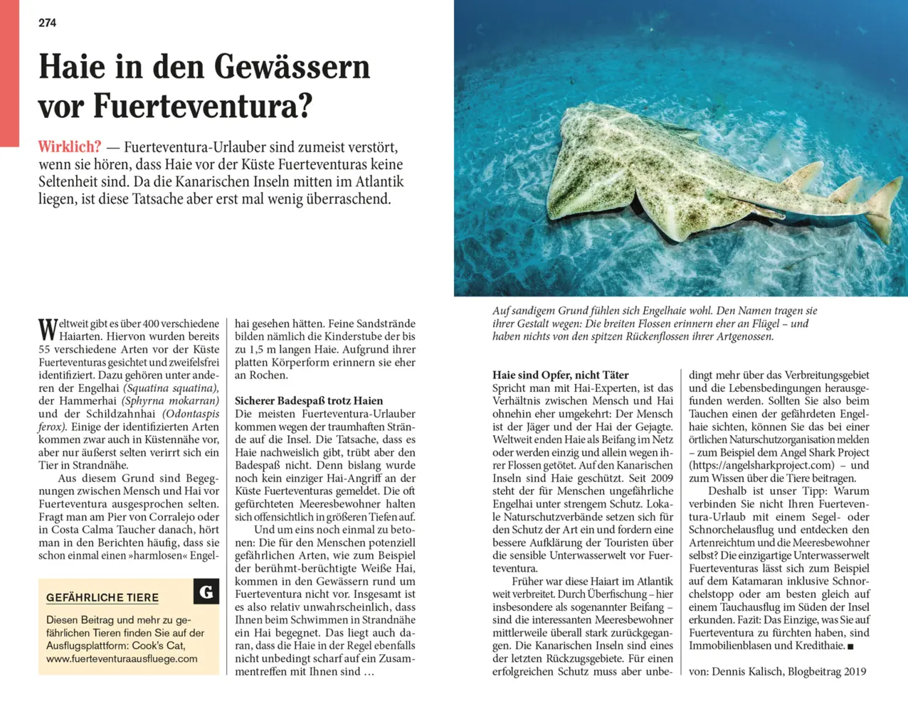 Bild: 9783616020310 | DUMONT Reise-Taschenbuch Reiseführer Fuerteventura | Susanne Lipps