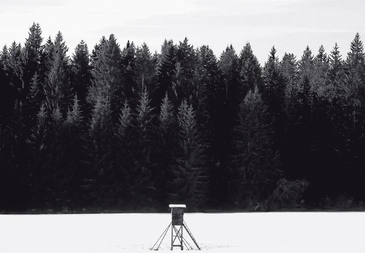 Bild: 9783949070310 | Schwarz. Wald. Weiß. | Joseph Carlson | Buch | 116 S. | Deutsch | 2022
