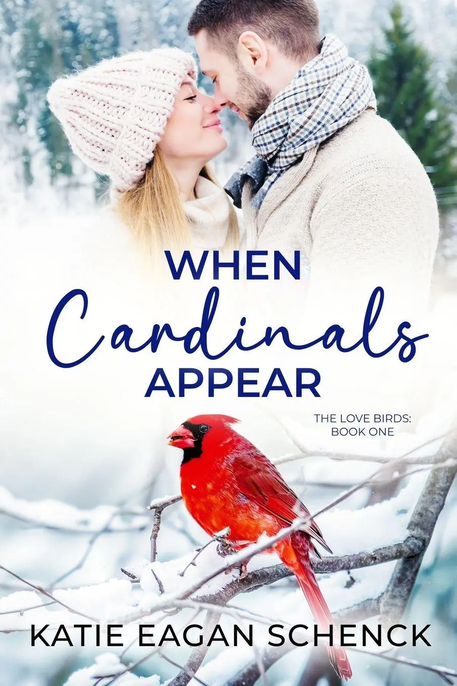 Cover: 9798988480310 | When Cardinals Appear | Katie Eagan Schenck | Taschenbuch | Englisch